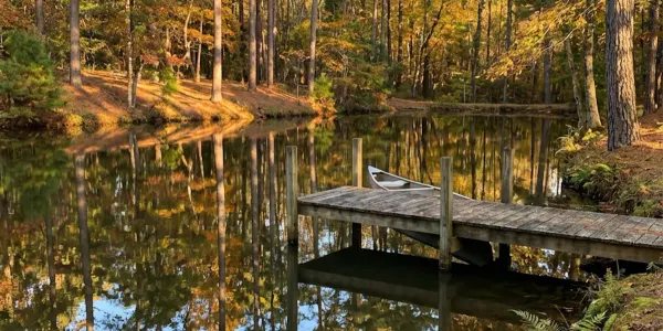 Sell Landlocked Property in NC Without Easement