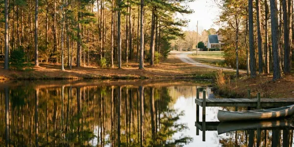 Selling Wetlands in NC: Get Cash for Swamp Land