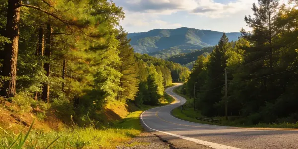 How Long to Close on Land in NC With a Cash Buyer