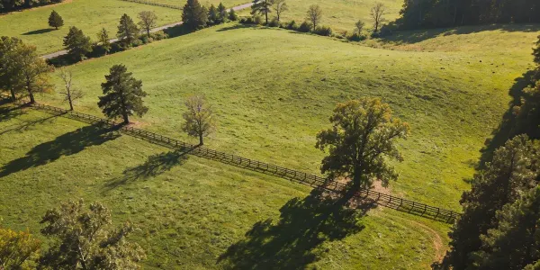 Eminent Domain in NC: Sell Before the State Takes It