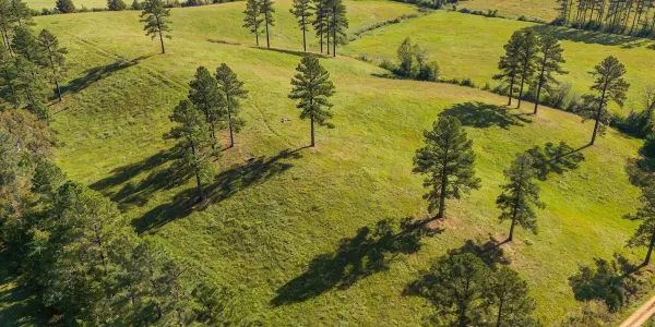 Sell Vacant Land in a NC Flood Zone (FEMA)