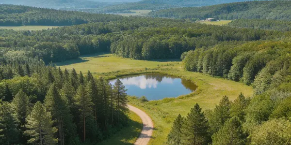 Sell Steep or Sloped Mountain Land in Western NC