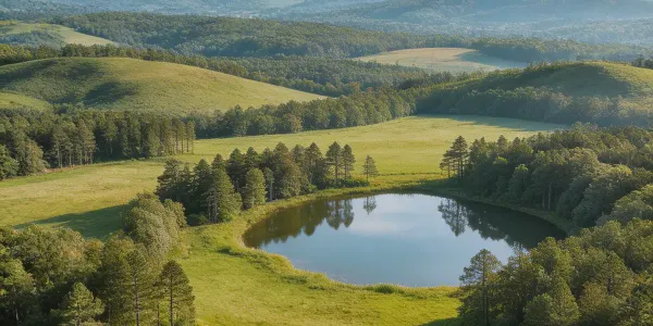 How to Sell Land in NC: The Complete Guide (2026)
