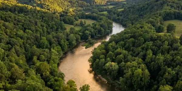 Sell NC Land With Back Taxes Owed [Cash, No Lien Drama]