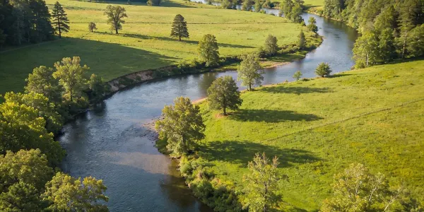 Sell Land in Chatham County NC [Cash in 7 Days]